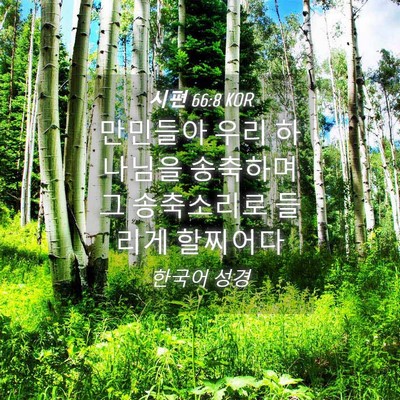 Picture 04 - 시편 66:8 KOR - 만민들아 우리 하나님을 송축하며 그 - Bible Verse Picture