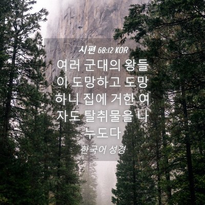 Picture 04 - 시편 68:12 KOR - 여러 군대의 왕들이 도망하고 - Bible Verse Picture