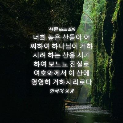 Picture 04 - 시편 68:16 KOR - 너희 높은 산들아 어찌하여 하나님이 - Bible Verse Picture