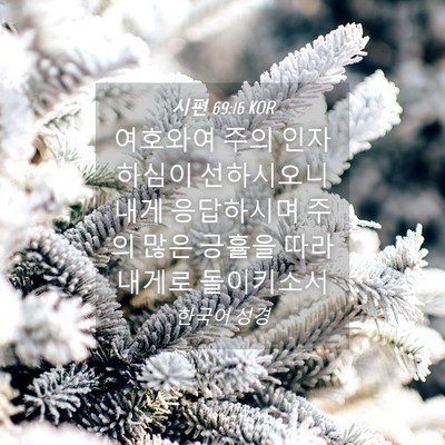 Picture 04 - 시편 69:16 KOR - 여호와여 주의 인자하심이 - Bible Verse Picture