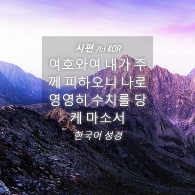Picture 04 - 시편 71:1 KOR - 여호와여 내가 주께 피하오니 나로 - Bible Verse Picture