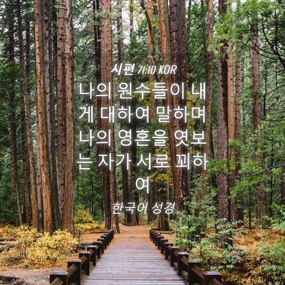 Picture 04 - 시편 71:10 KOR - 나의 원수들이 내게 대하여 말하며 - Bible Verse Picture