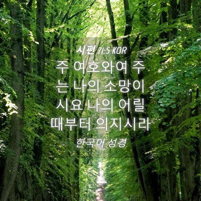 Picture 04 - 시편 71:5 KOR - 주 여호와여 주는 나의 소망이시요 - Bible Verse Picture