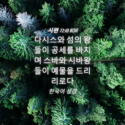 Picture 04 - 시편 72:10 KOR - 다시스와 섬의 왕들이 공세를 바치며 - Bible Verse Picture