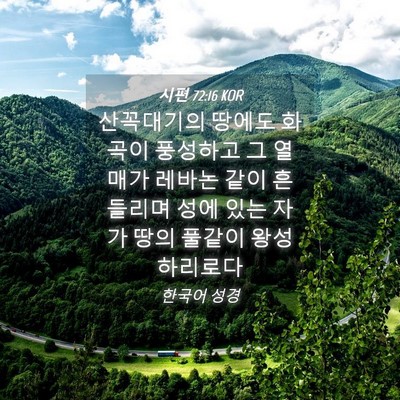 Picture 04 - 시편 72:16 KOR - 산꼭대기의 땅에도 화곡이 풍성하고 - Bible Verse Picture