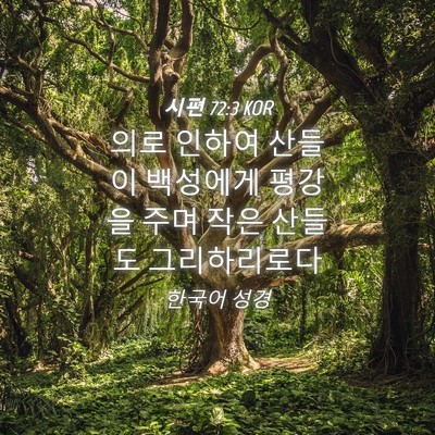 Picture 04 - 시편 72:3 KOR - 의로 인하여 산들이 백성에게 평강을 - Bible Verse Picture