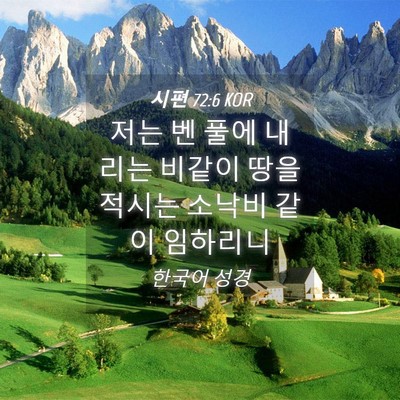 Picture 04 - 시편 72:6 KOR - 저는 벤 풀에 내리는 비같이 땅을 - Bible Verse Picture