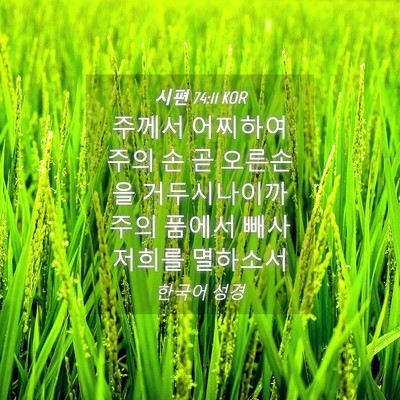 Picture 04 - 시편 74:11 KOR - 주께서 어찌하여 주의 손 곧 - Bible Verse Picture