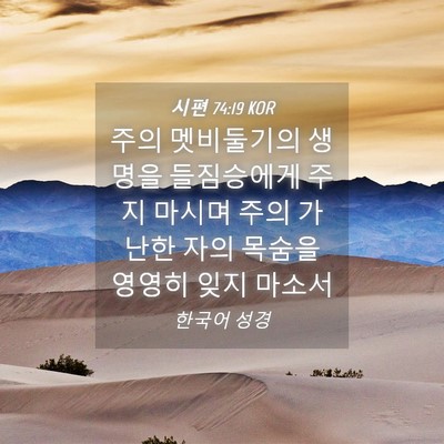 Picture 04 - 시편 74:19 KOR - 주의 멧비둘기의 생명을 들짐승에게 - Bible Verse Picture