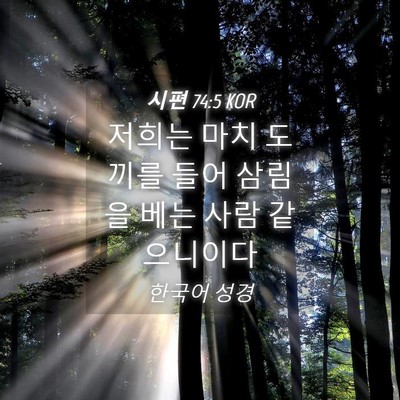 Picture 04 - 시편 74:5 KOR - 저희는 마치 도끼를 들어 삼림을 - Bible Verse Picture