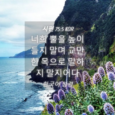 Picture 04 - 시편 75:5 KOR - 너희 뿔을 높이 들지 말며 교만한 - Bible Verse Picture