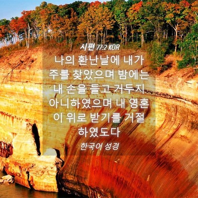 Picture 04 - 시편 77:2 KOR - 나의 환난날에 내가 주를 찾았으며 - Bible Verse Picture