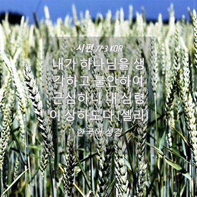 Picture 04 - 시편 77:3 KOR - 내가 하나님을 생각하고 불안하여 - Bible Verse Picture