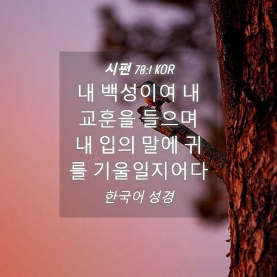 Picture 04 - 시편 78:1 KOR - 내 백성이여 내 교훈을 들으며 내 - Bible Verse Picture
