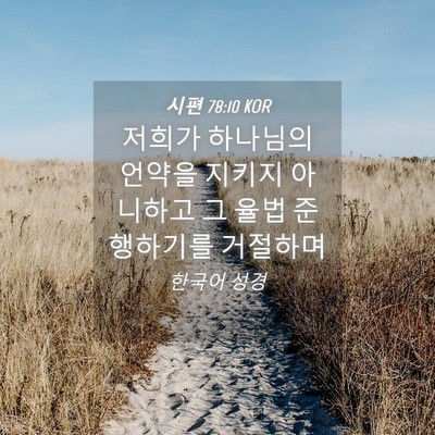 Picture 04 - 시편 78:10 KOR - 저희가 하나님의 언약을 지키지 - Bible Verse Picture