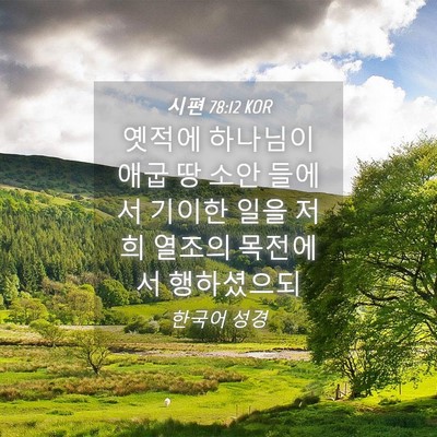 Picture 04 - 시편 78:12 KOR - 옛적에 하나님이 애굽 땅 소안 - Bible Verse Picture
