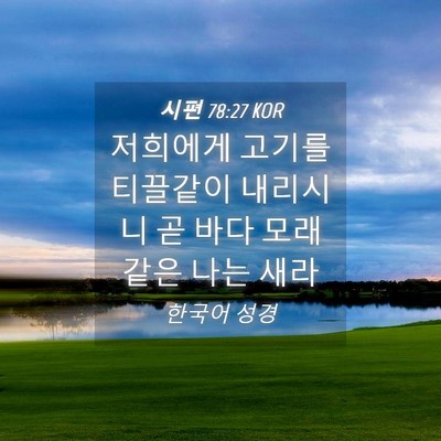 Picture 04 - 시편 78:27 KOR - 저희에게 고기를 티끌같이 내리시니 - Bible Verse Picture