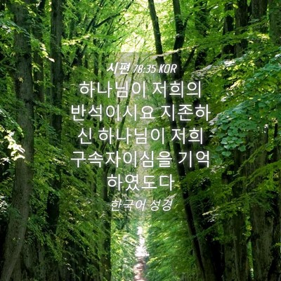 Picture 04 - 시편 78:35 KOR - 하나님이 저희의 반석이시요 - Bible Verse Picture
