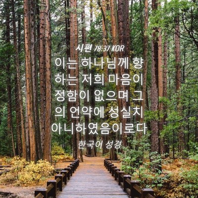 Picture 04 - 시편 78:37 KOR - 이는 하나님께 향하는 저희 마음이 - Bible Verse Picture