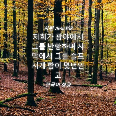 Picture 04 - 시편 78:40 KOR - 저희가 광야에서 그를 반항하며 - Bible Verse Picture