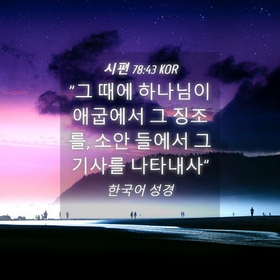 Picture 04 - 시편 78:43 KOR - 