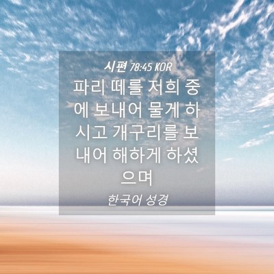 Picture 04 - 시편 78:45 KOR - 파리 떼를 저희 중에 보내어 물게 - Bible Verse Picture