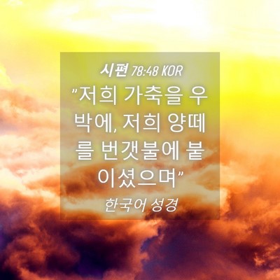 Picture 04 - 시편 78:48 KOR - 