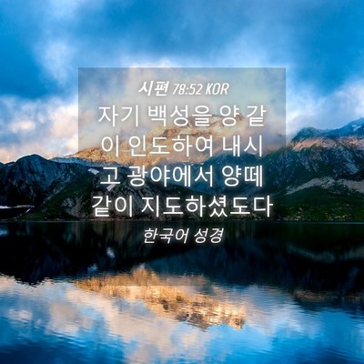 Picture 04 - 시편 78:52 KOR - 자기 백성을 양 같이 인도하여 - Bible Verse Picture