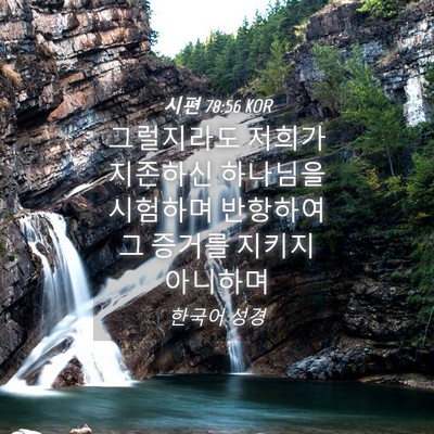 Picture 04 - 시편 78:56 KOR - 그럴지라도 저희가 지존하신 - Bible Verse Picture