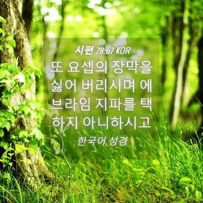 Picture 04 - 시편 78:67 KOR - 또 요셉의 장막을 싫어 버리시며 - Bible Verse Picture