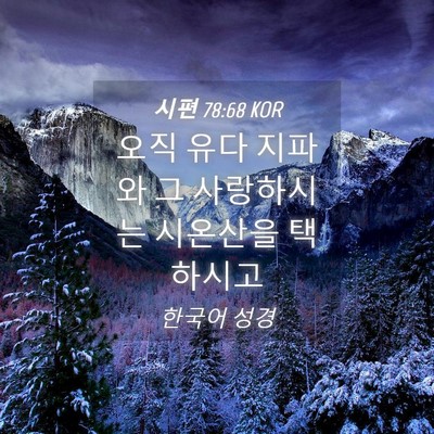 Picture 04 - 시편 78:68 KOR - 오직 유다 지파와 그 사랑하시는 - Bible Verse Picture