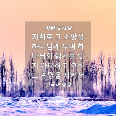 Picture 04 - 시편 78:7 KOR - 저희로 그 소망을 하나님께 두며 - Bible Verse Picture