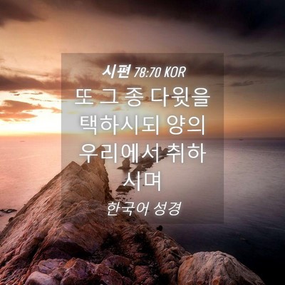 Picture 04 - 시편 78:70 KOR - 또 그 종 다윗을 택하시되 양의 - Bible Verse Picture