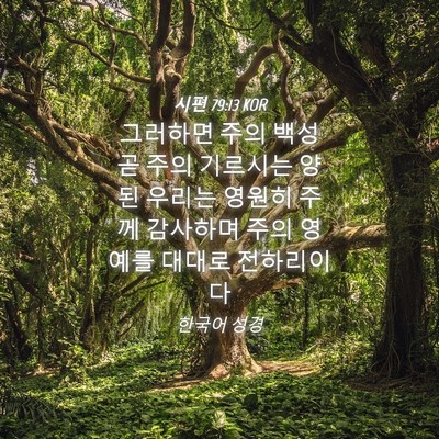 Picture 04 - 시편 79:13 KOR - 그러하면 주의 백성 곧 주의 - Bible Verse Picture