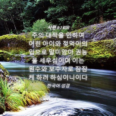 Picture 04 - 시편 8:2 KOR - 주의 대적을 인하여 어린 아이와 - Bible Verse Picture