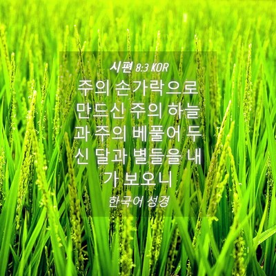 Picture 04 - 시편 8:3 KOR - 주의 손가락으로 만드신 주의 하늘과 - Bible Verse Picture