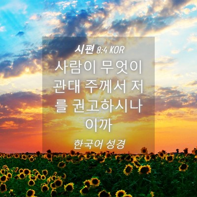 Picture 04 - 시편 8:4 KOR - 사람이 무엇이관대 주께서 저를 - Bible Verse Picture