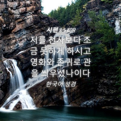 Picture 04 - 시편 8:5 KOR - 저를 천사보다 조금 못하게 하시고 - Bible Verse Picture