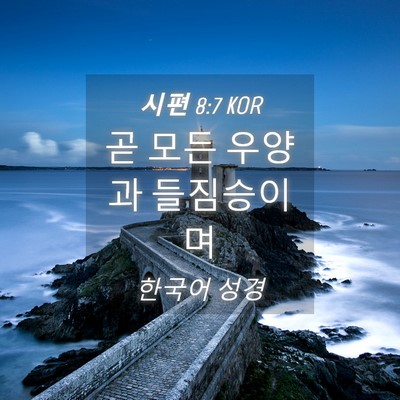 Picture 04 - 시편 8:7 KOR - 곧 모든 우양과 - Bible Verse Picture
