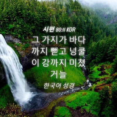 Picture 04 - 시편 80:11 KOR - 그 가지가 바다까지 뻗고 넝쿨이 - Bible Verse Picture