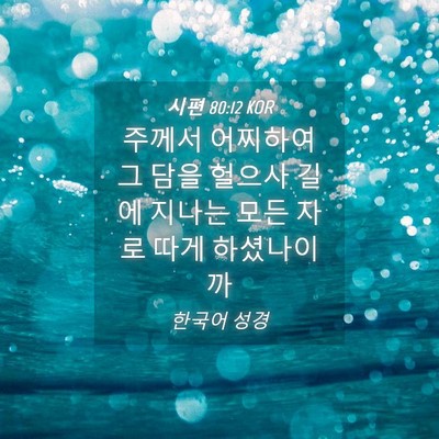 Picture 04 - 시편 80:12 KOR - 주께서 어찌하여 그 담을 헐으사 - Bible Verse Picture