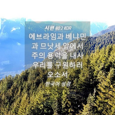 Picture 04 - 시편 80:2 KOR - 에브라임과 베냐민과 므낫세 앞에서 - Bible Verse Picture