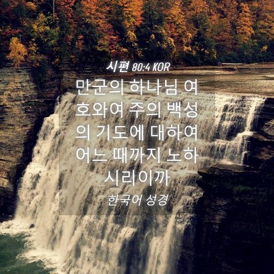 Picture 04 - 시편 80:4 KOR - 만군의 하나님 여호와여 주의 백성의 - Bible Verse Picture