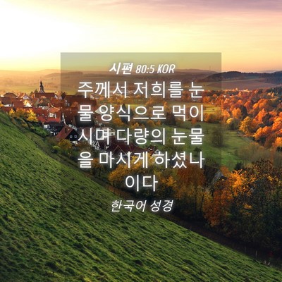 Picture 04 - 시편 80:5 KOR - 주께서 저희를 눈물 양식으로 - Bible Verse Picture