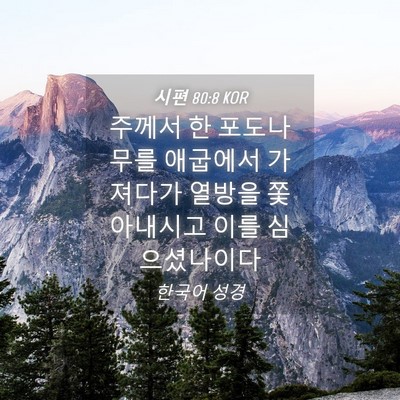 Picture 04 - 시편 80:8 KOR - 주께서 한 포도나무를 애굽에서 - Bible Verse Picture