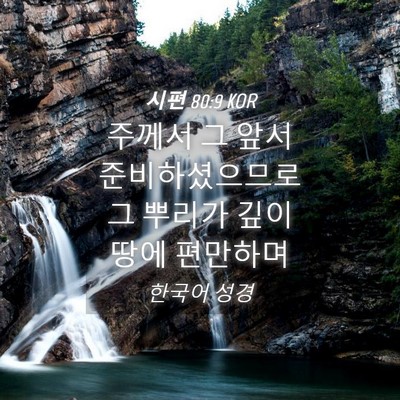 Picture 04 - 시편 80:9 KOR - 주께서 그 앞서 준비하셨으므로 그 - Bible Verse Picture