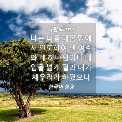 Picture 04 - 시편 81:10 KOR - 나는 너를 애굽 땅에서 인도하여 낸 - Bible Verse Picture