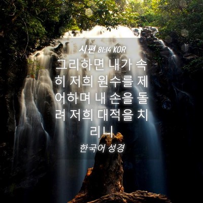 Picture 04 - 시편 81:14 KOR - 그리하면 내가 속히 저희 원수를 - Bible Verse Picture