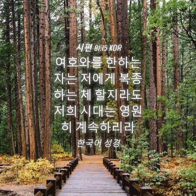 Picture 04 - 시편 81:15 KOR - 여호와를 한하는 자는 저에게 - Bible Verse Picture