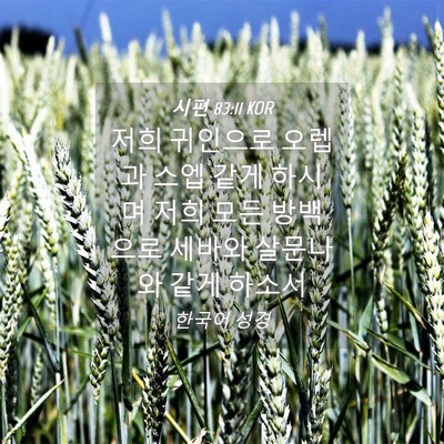 Picture 04 - 시편 83:11 KOR - 저희 귀인으로 오렙과 스엡 같게 - Bible Verse Picture